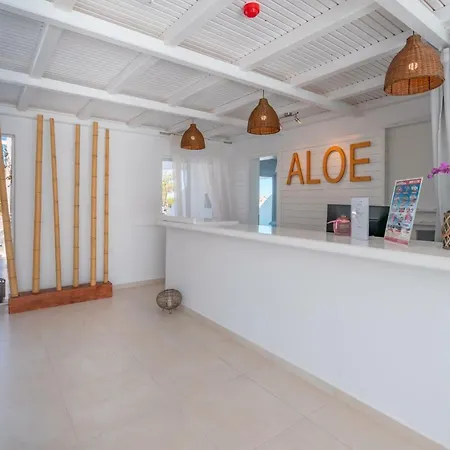 Aloe - Adults Only